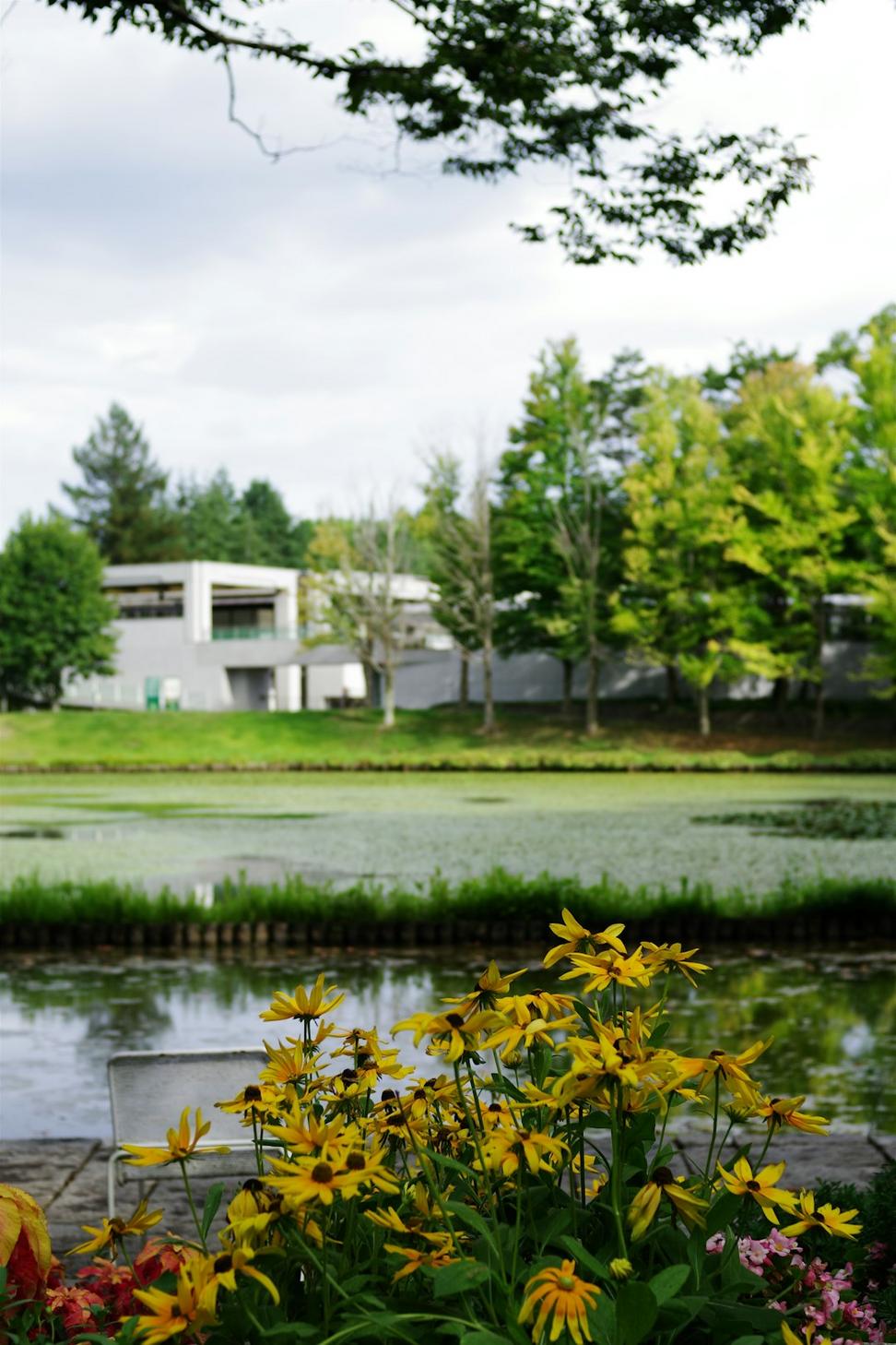 Lakefront Home